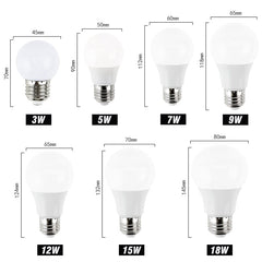 E27 LED Globe Bulb 3W–18W Warm & Cool White
