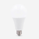 E27 LED Globe Bulb 3W–18W Warm & Cool White