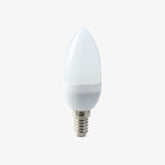 E14 LED Oval Bulb 3W Warm & Cool White