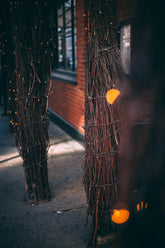 Solar String Lights, IP44, 8 Modes, Dusk Sensor, 8 Colours