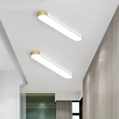 Bellarose LED Ceiling Light Metal Acrylic Black White 3 Sizes