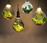 Garden Globe Pendant Light Metal Glass E27 Small or Large