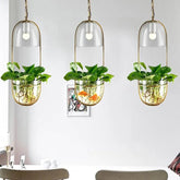 Pendant Light with Planter Iron Glass E27 IP44
