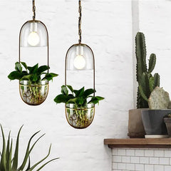 Pendant Light with Planter Iron Glass E27 IP44