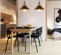 Modern Pendant Light with Iron Shade E27 — Black or Gold