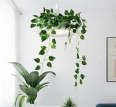 Modern Plant Pendant Lampshade Iron E27 40cm White Black Green
