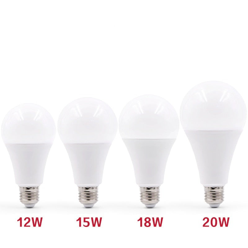 E27 LED Globe Bulb 3W–20W Warm & Cool White