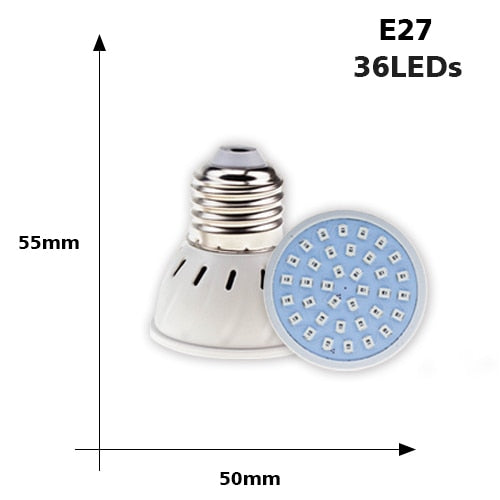 E27 Dimmable LED Bulb — 36, 54 or 72 LEDs, Trailing Edge Dimmer Compatible