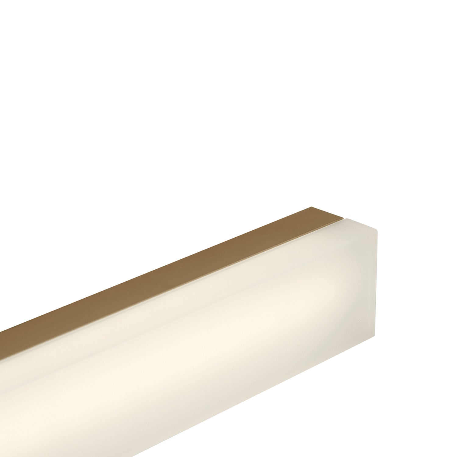 LED Vanity Light — Medium