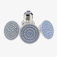 E27 Dimmable LED Bulb — 36, 54 or 72 LEDs, Trailing Edge Dimmer Compatible