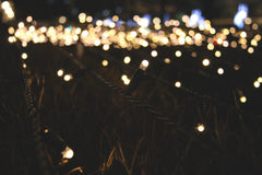 Solar String Lights, IP44, 8 Modes, Dusk Sensor, 8 Colours