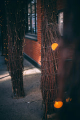 Solar String Lights, IP44, 8 Modes, Dusk Sensor, 8 Colours