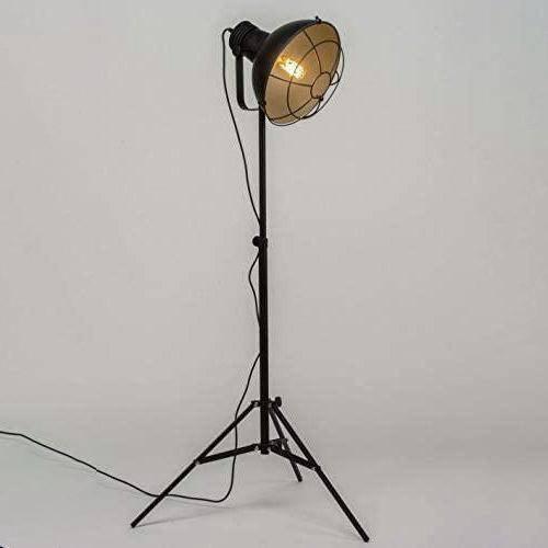 Industrial Cinema Caged Floor Lamp Wood Steel Cage Shade E27