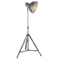 Raw Industrial Cinema Floor Lamp Grey Iron Pivoting Projector E27 220cm