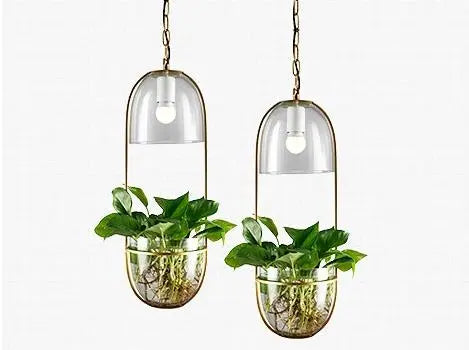 Pendant Light with Planter Iron Glass E27 IP44