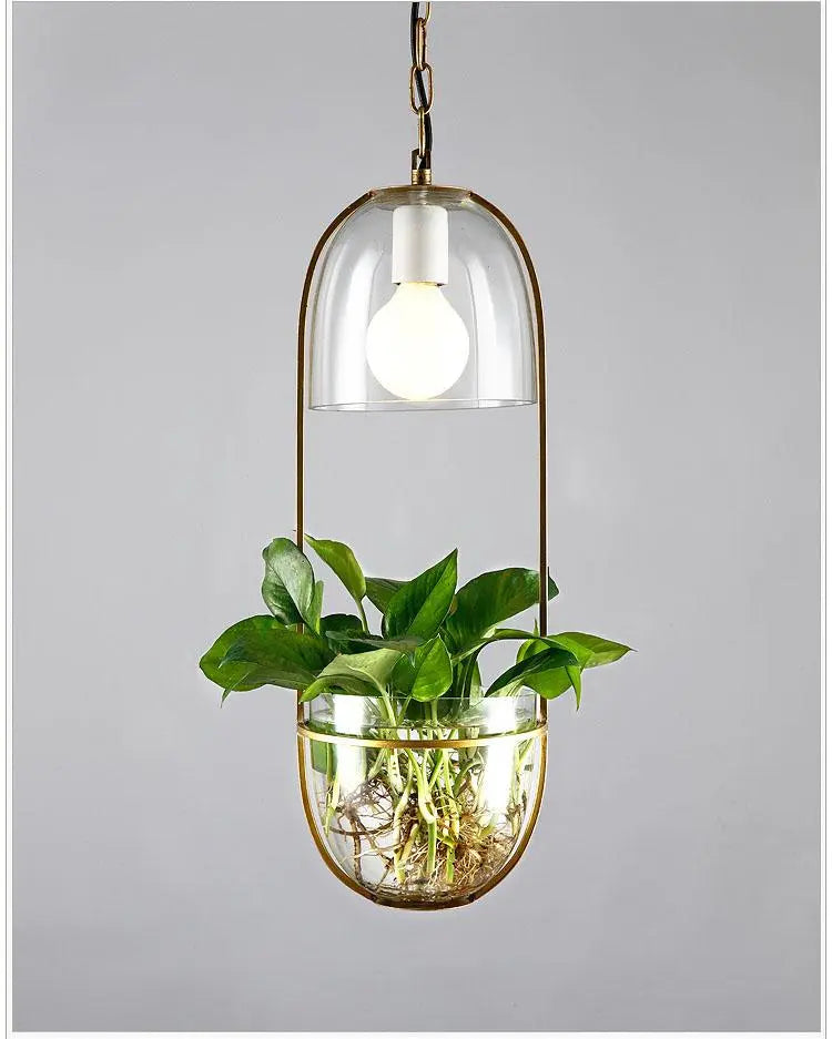 Pendant Light with Planter Iron Glass E27 IP44