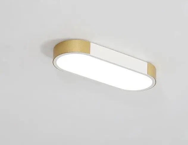 Bellarose LED Ceiling Light Metal Acrylic Black White 3 Sizes