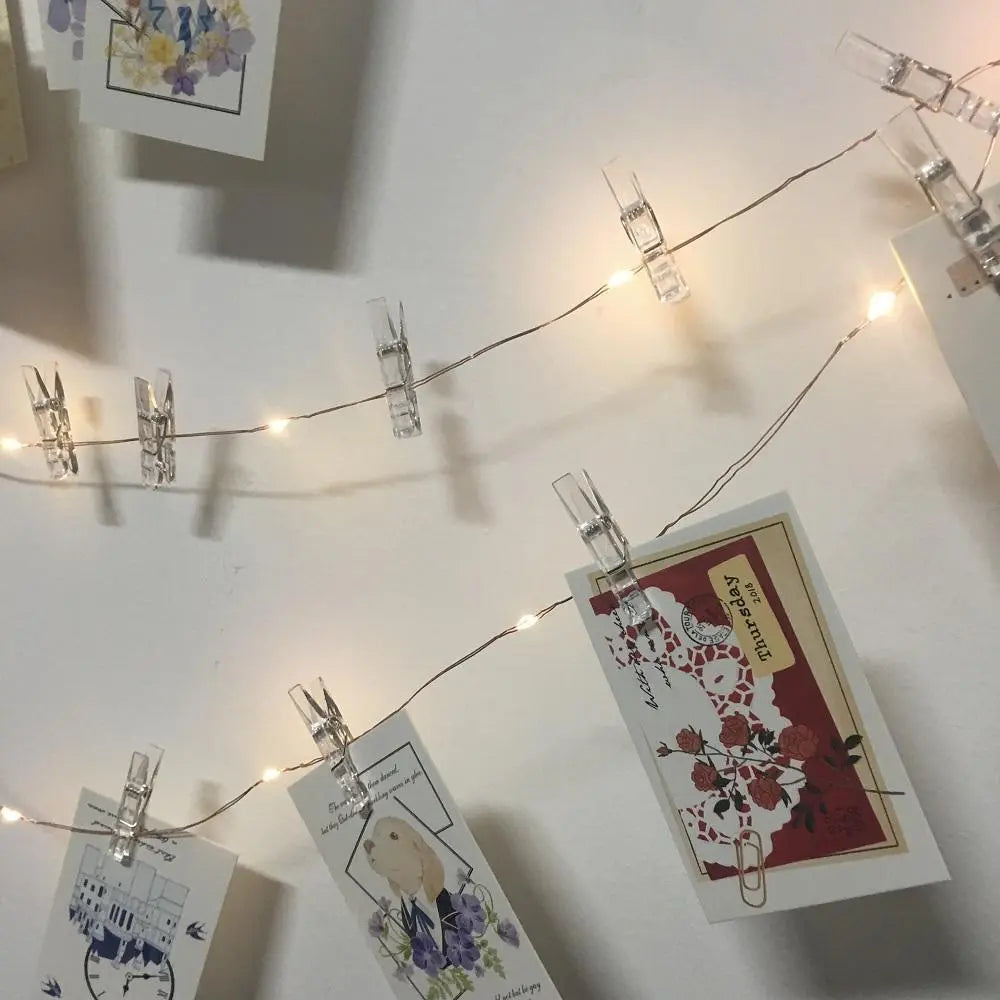 LED Fairy Lights with Photo Clips, Warm White, Battery & USB