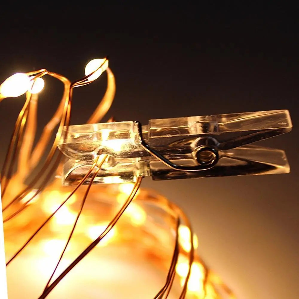 LED Fairy Lights with Photo Clips, Warm White, Battery & USB