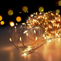 LED Fairy Lights with Photo Clips, Warm White, Battery & USB