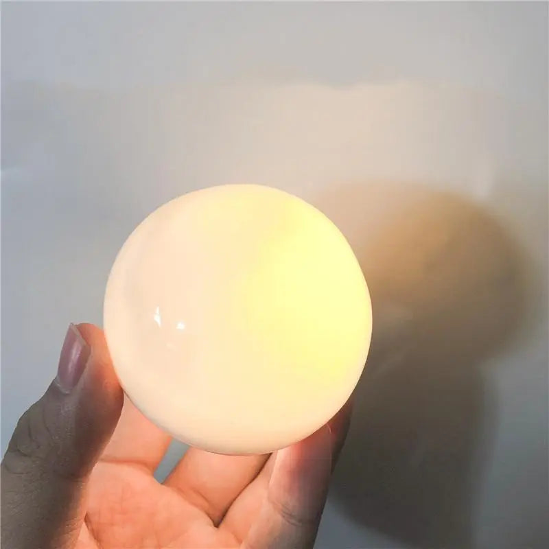 Pearl Shell Table Lamp Ceramic Battery LED Pink White