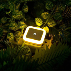 LED Night Light Plug-In ABS Dusk Sensor 4 Colours