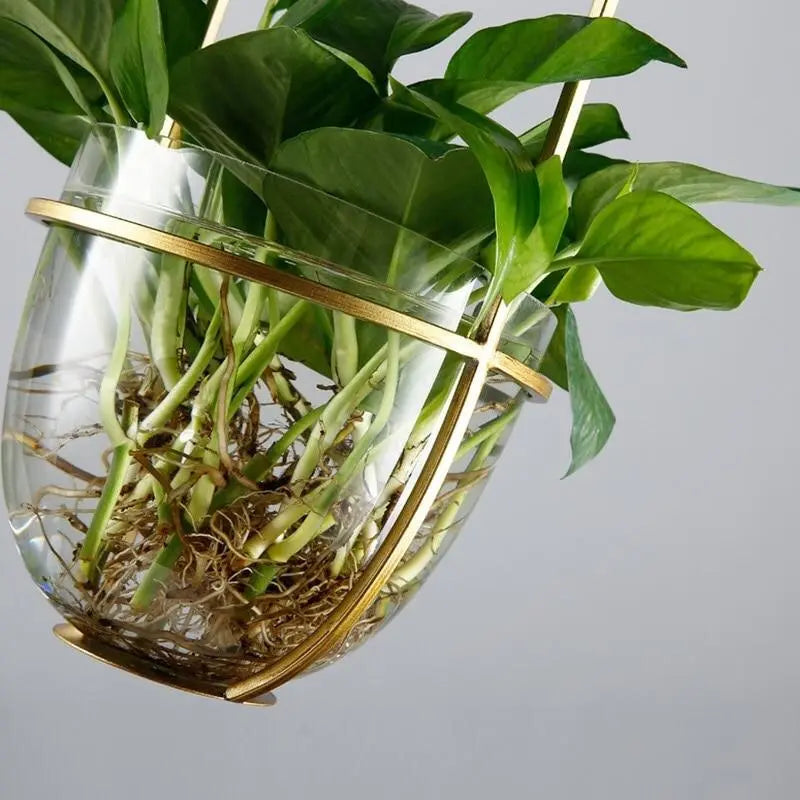 Pendant Light with Planter Iron Glass E27 IP44