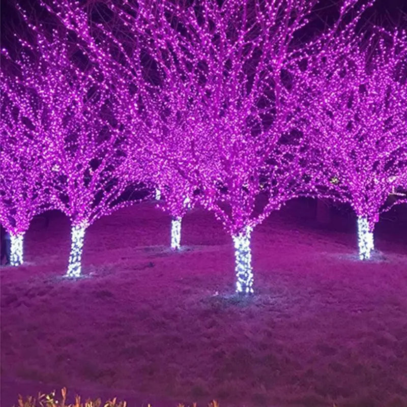 Solar String Lights, IP44, 8 Modes, Dusk Sensor, 8 Colours