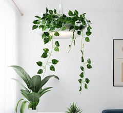 Modern Plant Pendant Lampshade Iron E27 40cm White Black Green