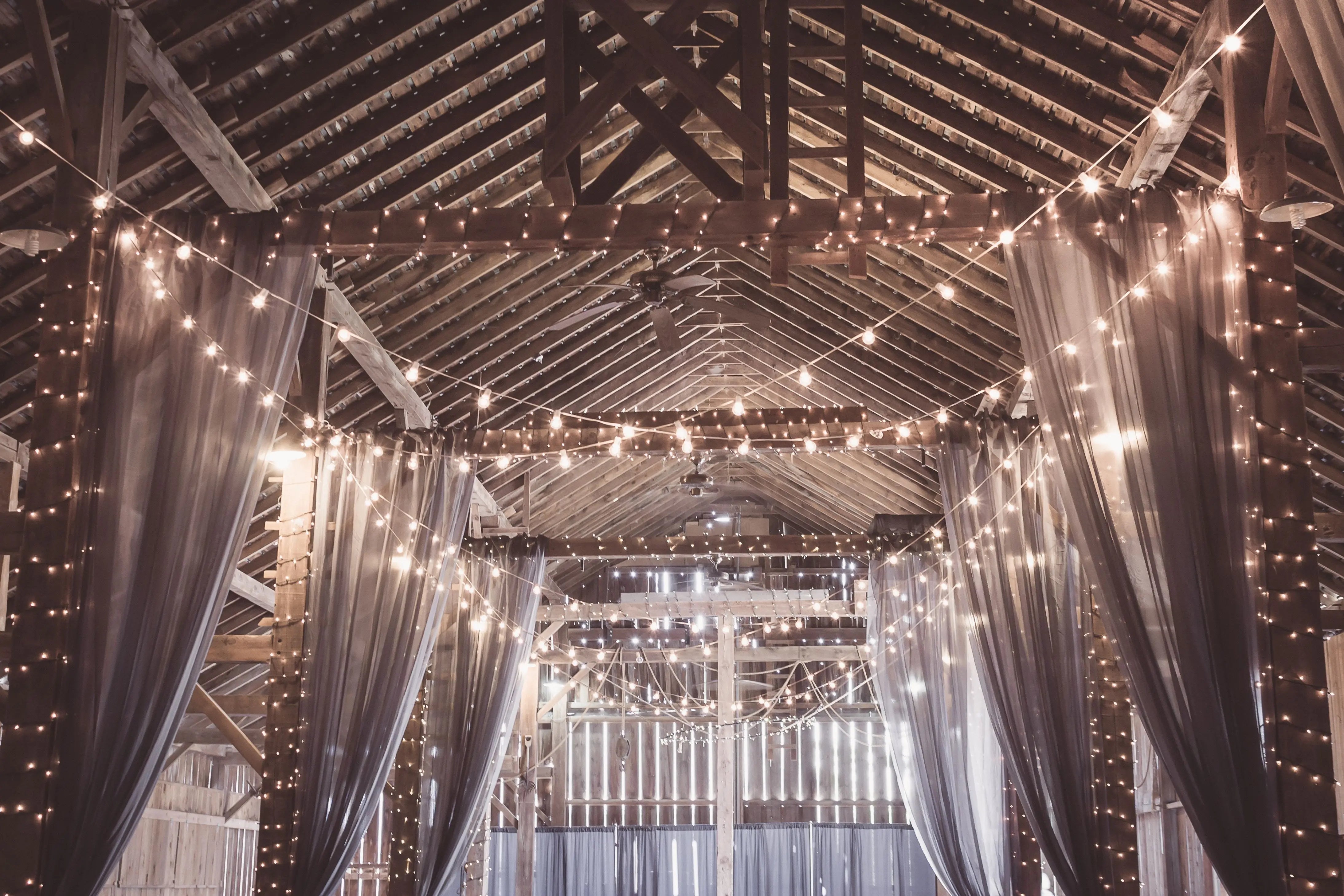 Solar String Lights, IP44, 8 Modes, Dusk Sensor, 8 Colours